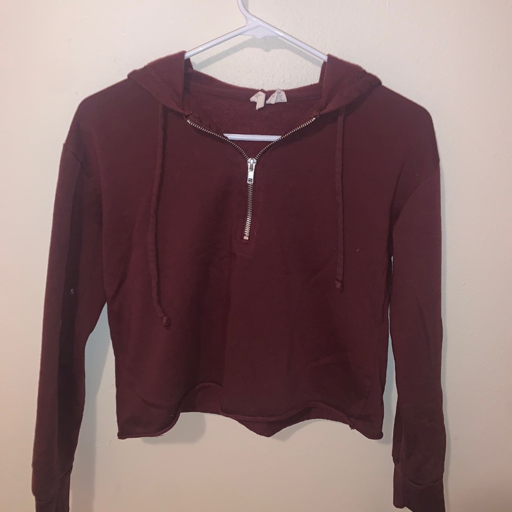 Cropped sky and sparrow hoodie